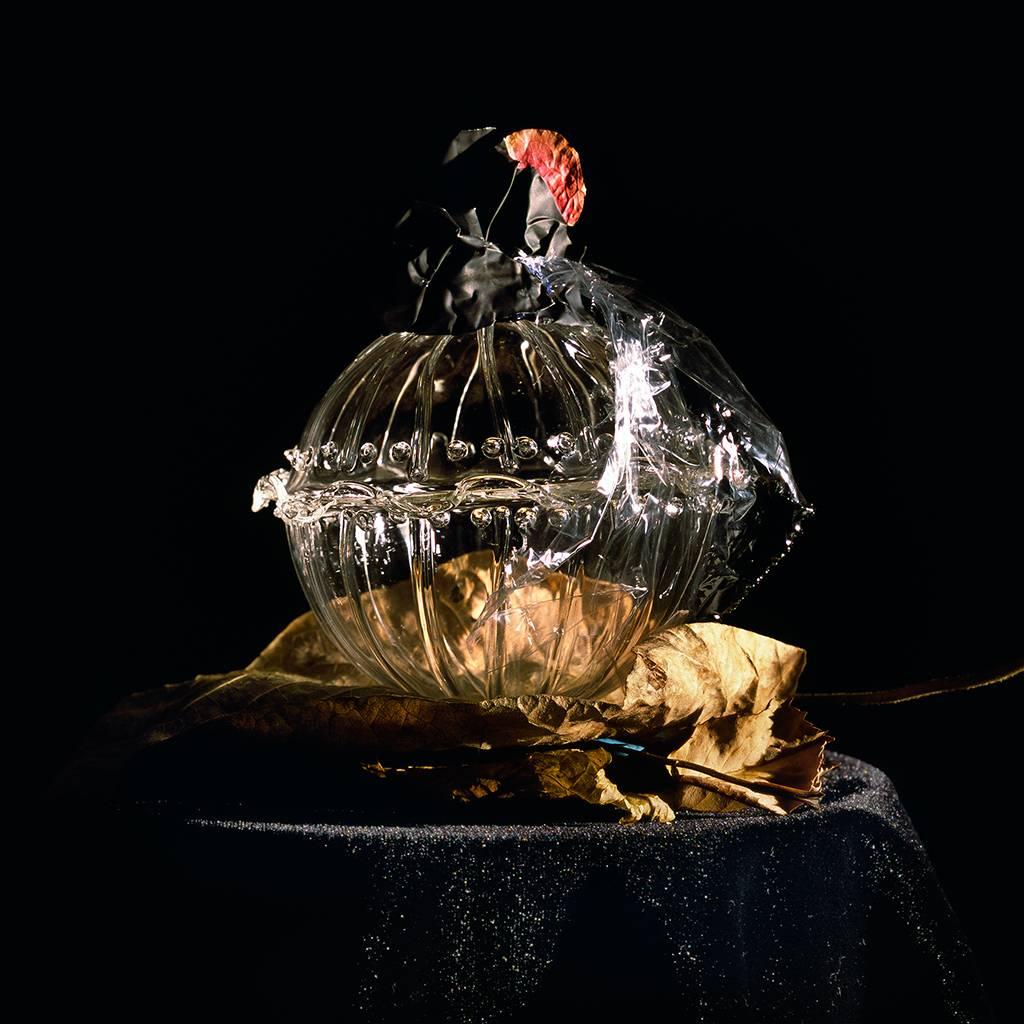 Still-Life Photograph de Holly King - Bodegón nº 4