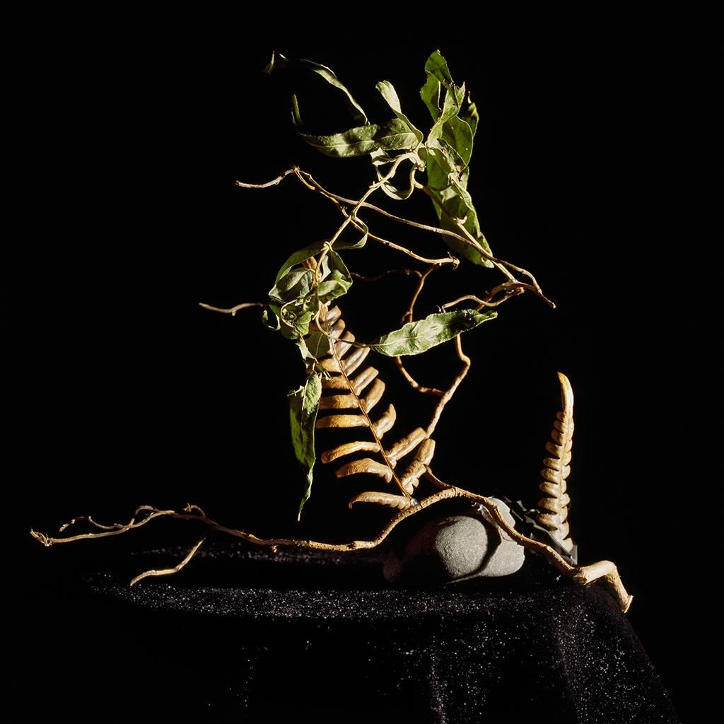 Still-Life Photograph Holly King - Nature morte n°8