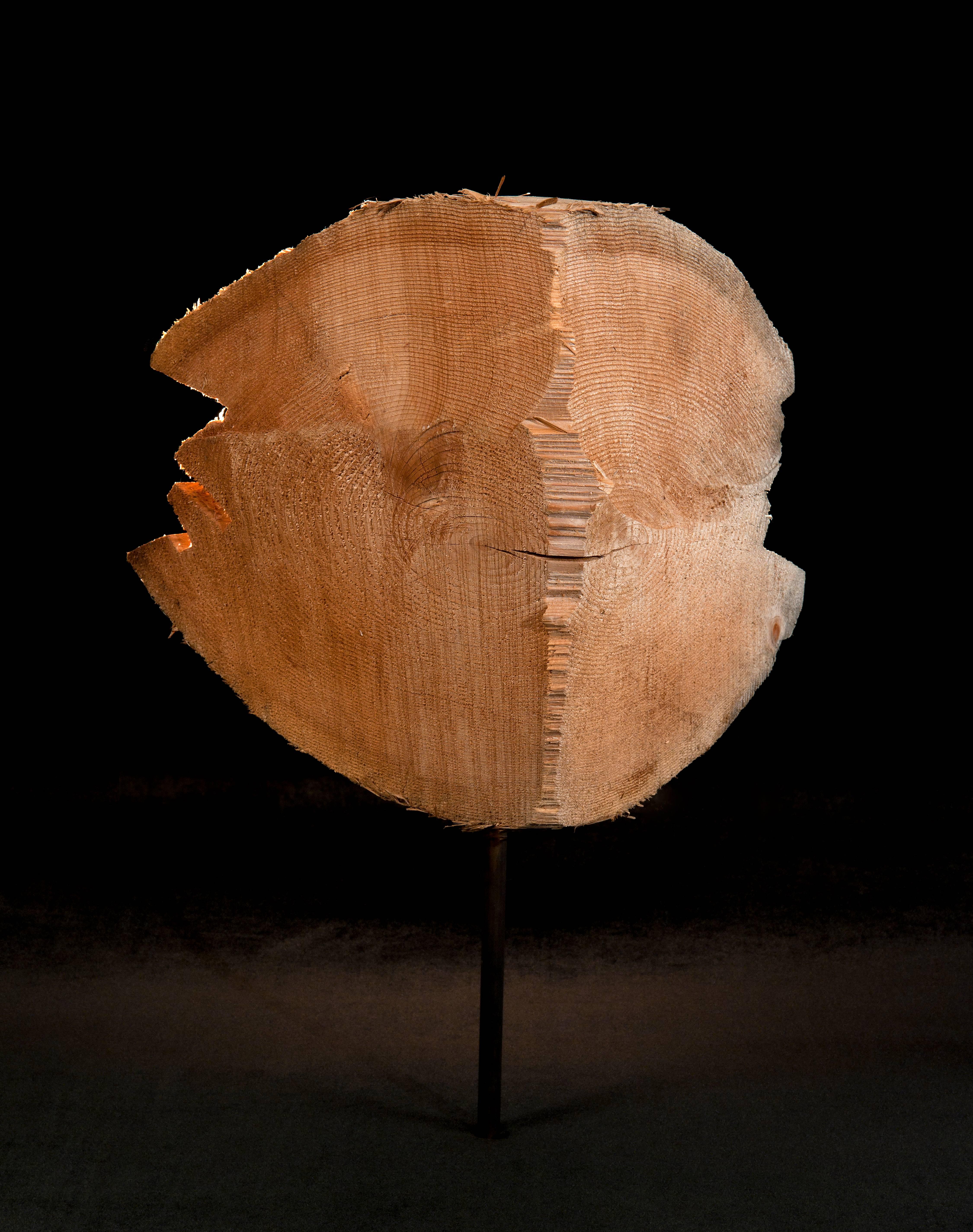 Figurative Photograph de Sonny Assu - Anhelo nº 2