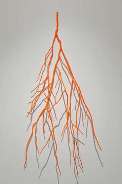 Bough Laden with Fluorescent Orange 7