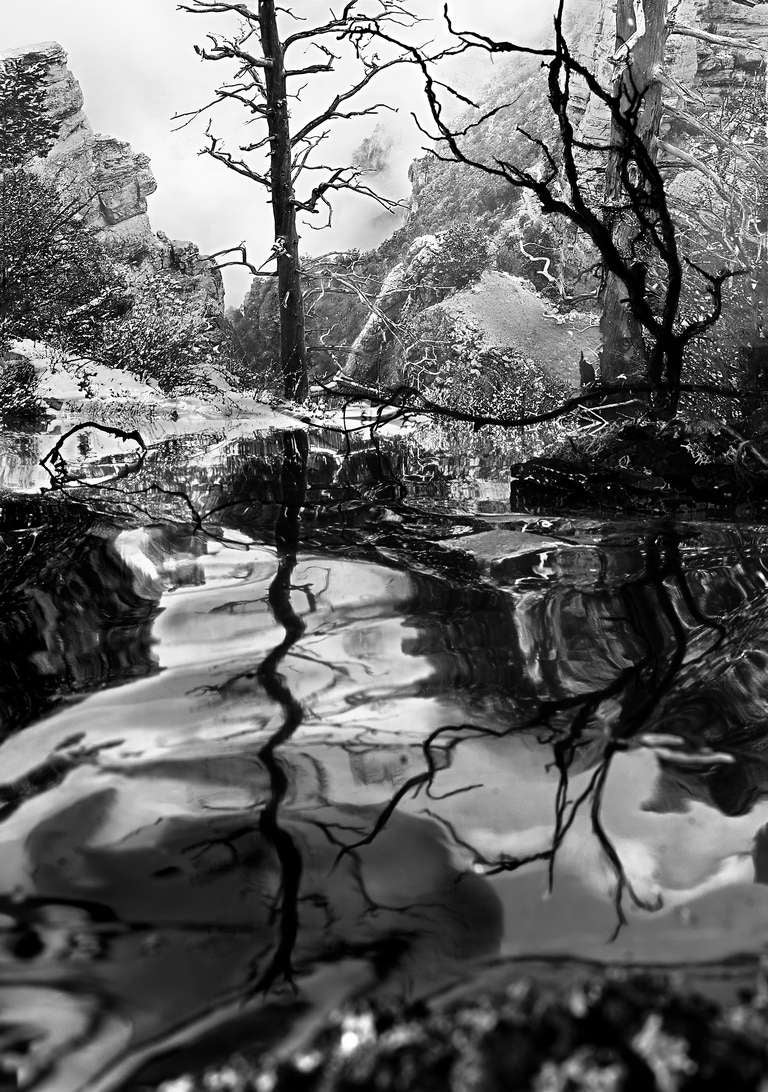 Holly King Landscape Photograph - Reflections Tantalize