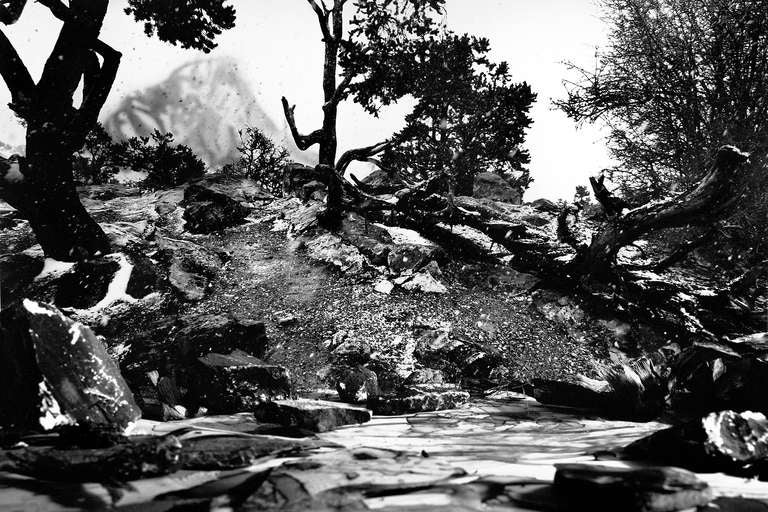 Holly King Landscape Photograph – Szenisches Delirium