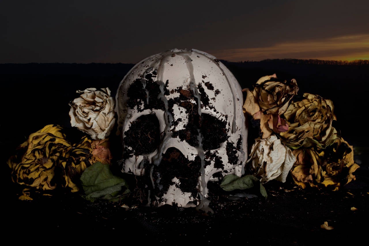 Nicholas & Sheila Pye Still-Life Photograph - Sugar Skull