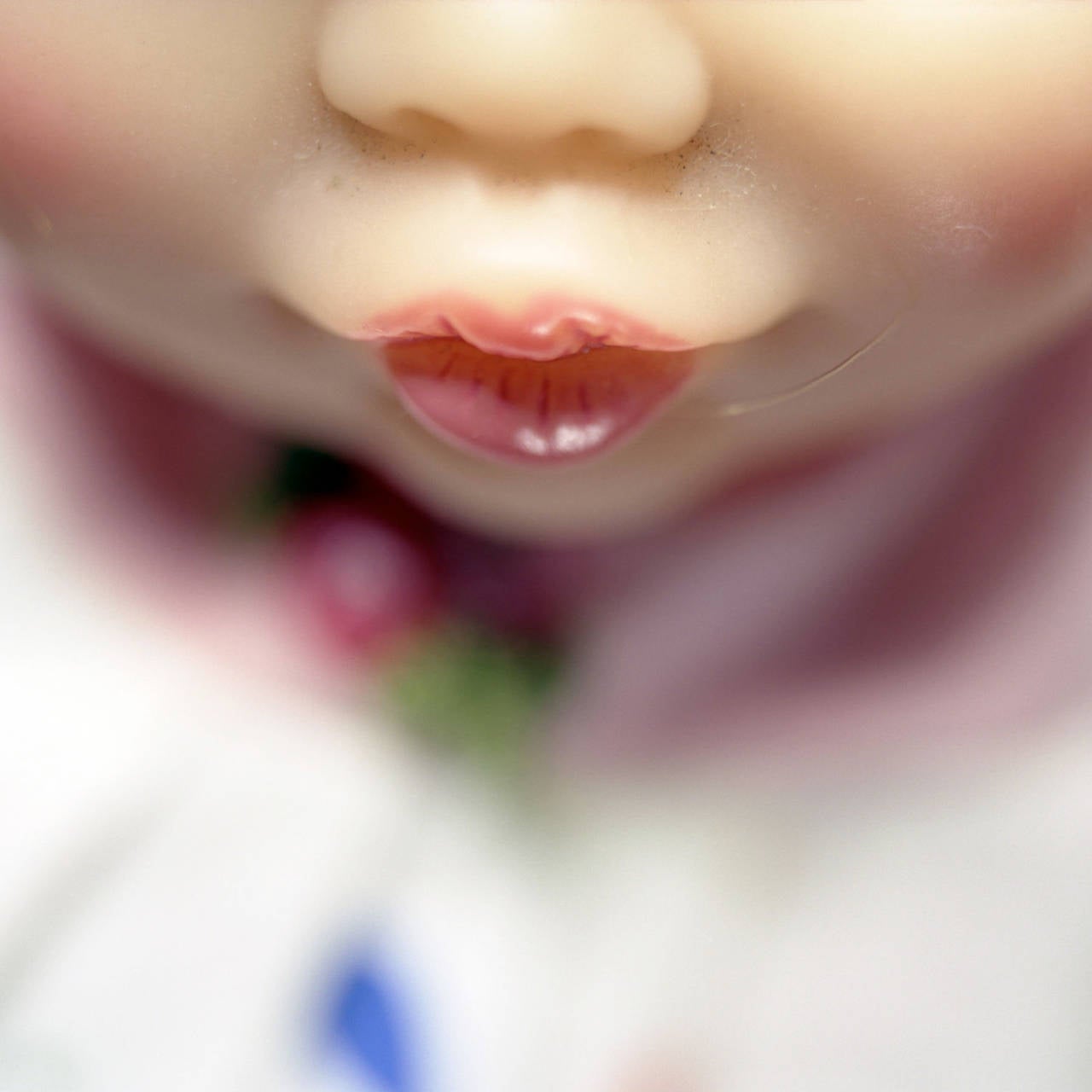 Doll Mouth (rose) - Photograph by Diana Thorneycroft
