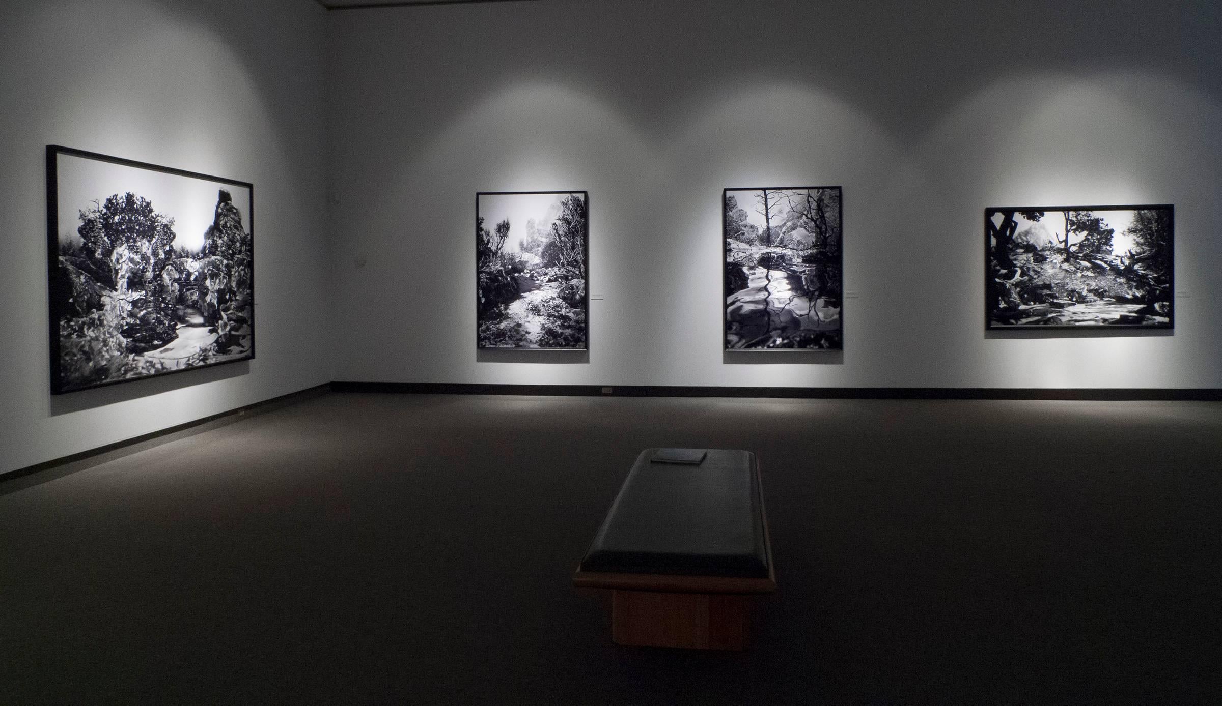 Weg zu einer Illusion (Grau), Landscape Photograph, von Holly King