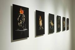 Still Life #3 C Print, Contemporary Landscape Photography, 2010-