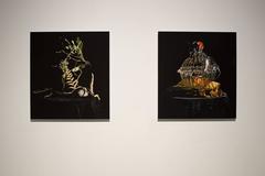 Still Life #8 C Print, Contemporary Landscape Photography, 2010+