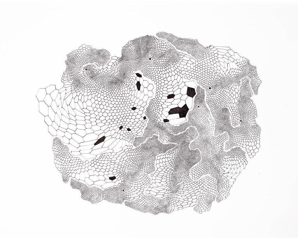 Untitled from the series Shifty Packets