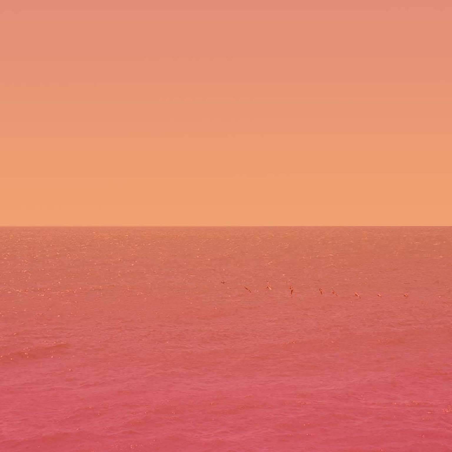 Horizon #10