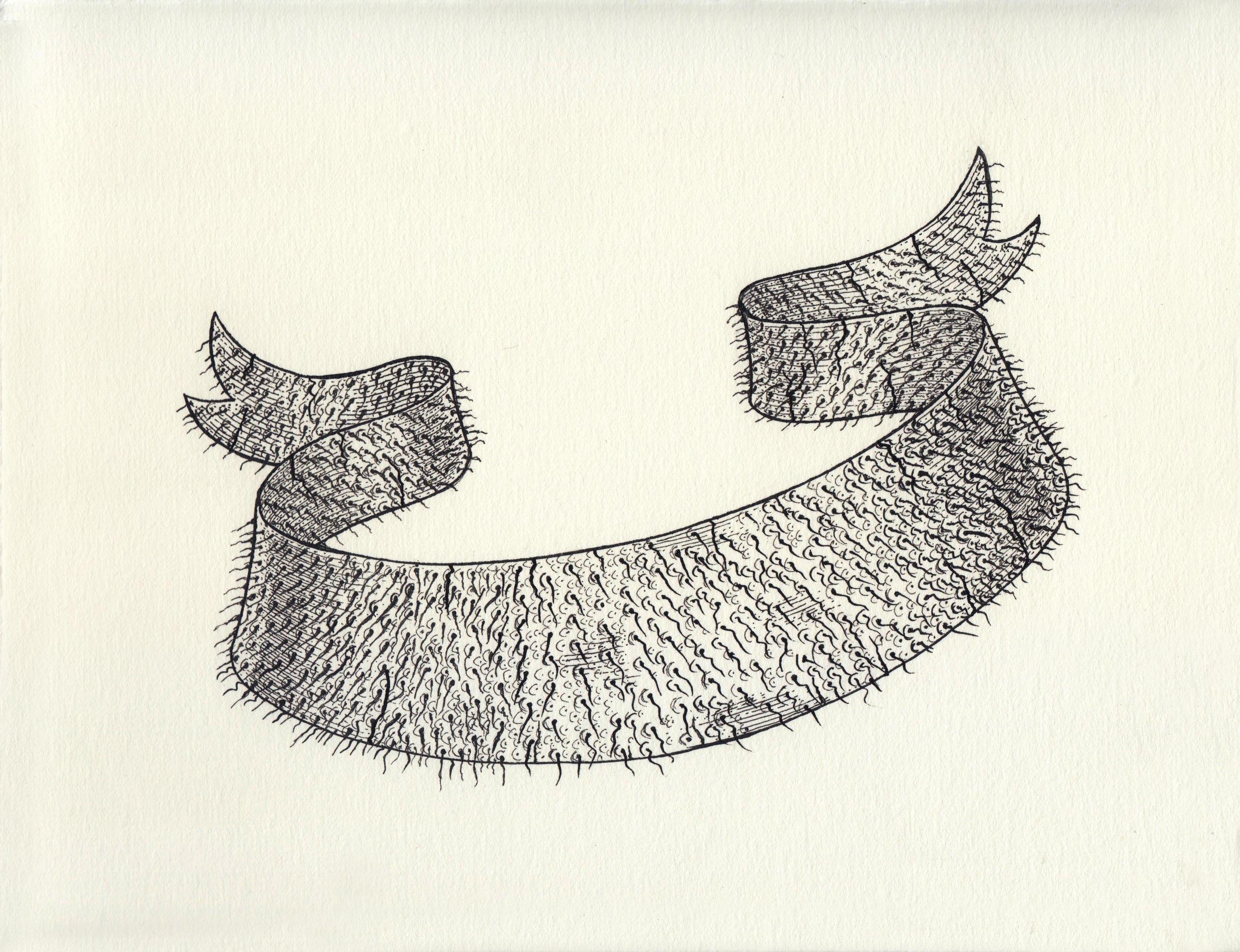 Renato Garza Cervera Abstract Drawing - Hairy Ideal