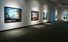 Chalk Shoreline: Contemporary Landscape Photography, Unframed 48x60