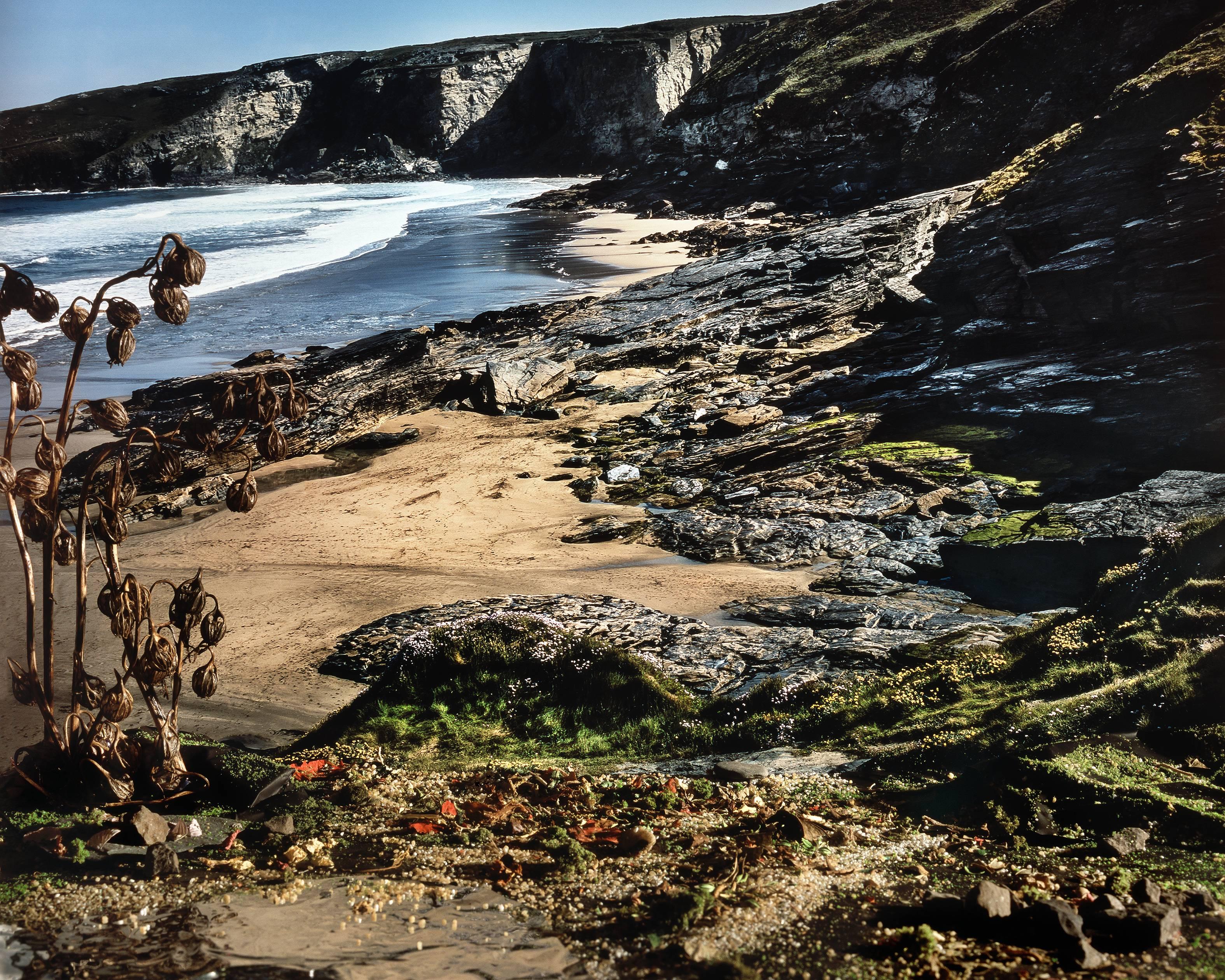 Holly King Landscape Photograph - Beach and Cliffside