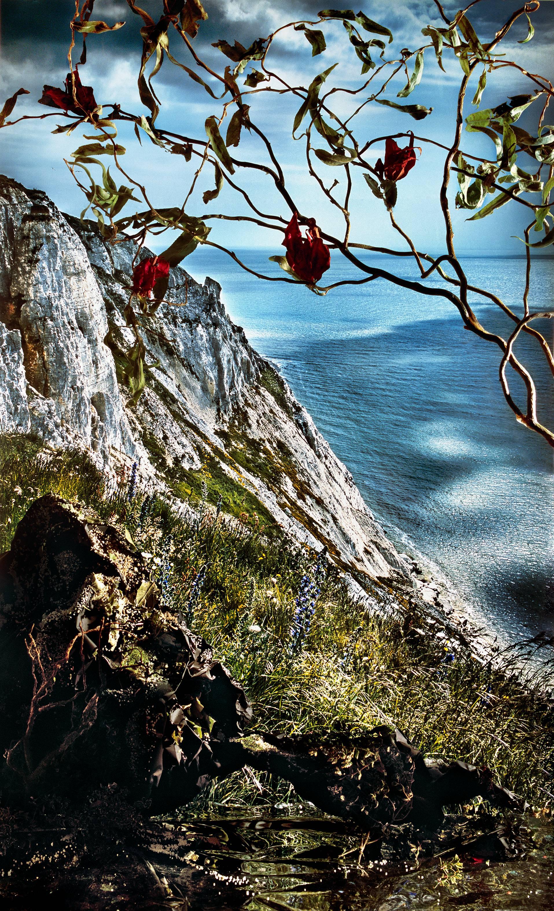Holly King Landscape Photograph - Cliff with Vines