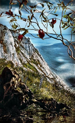 Falaise avec vignes