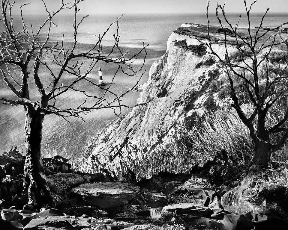 Holly King Landscape Photograph - Lighthouse