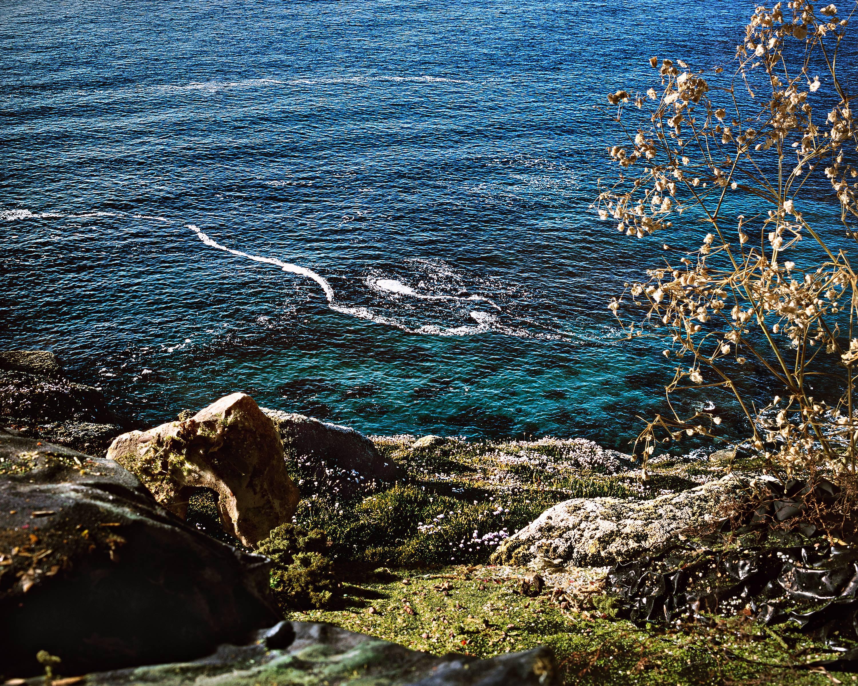 Holly King Landscape Photograph - Spiral Water