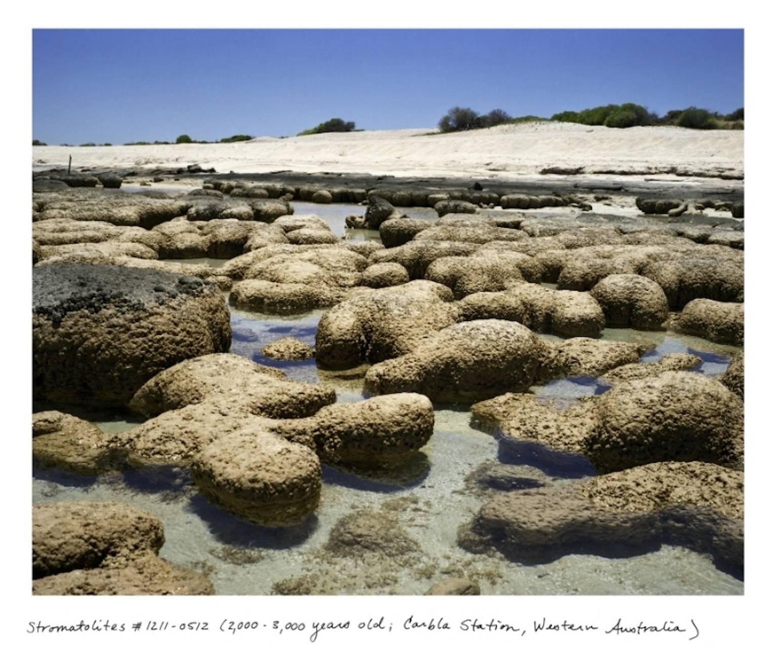 Rachel Sussman Landscape Photograph - Stromatolites #1211-0512 (2000 - 300 years old, Carble Sttion, Western Australia