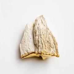 Pentimenti #6