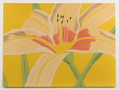 Day Lily 2