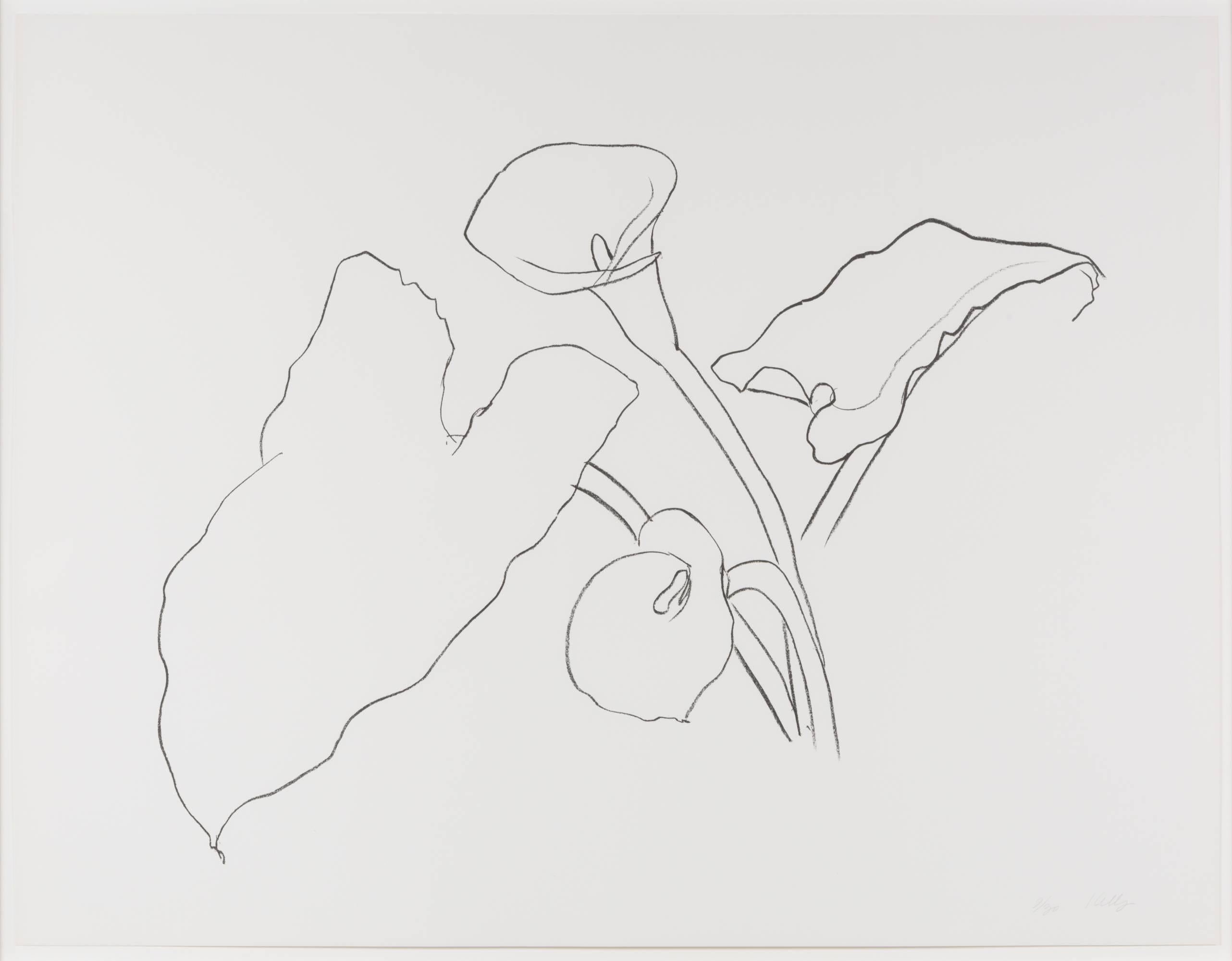 Ellsworth Kelly Still-Life Print - Calla Lily I, From the Series of Plant and Flower Lithographs