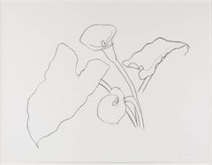 Calla Lily I, From the Series of Plant and Flower Lithographs