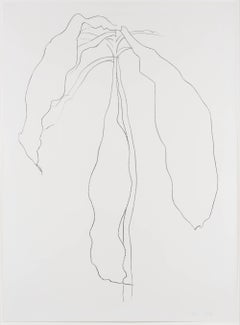 Dracena II, from Series of Plant and Flower Lithographs