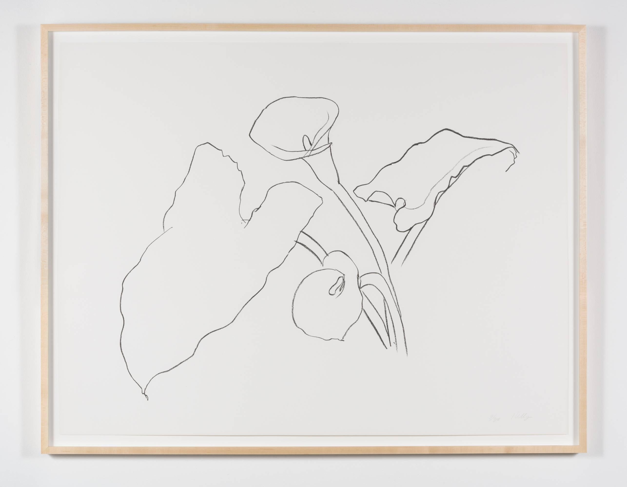 Calla Lily I, From the Series of Plant and Flower Lithographs - Print by Ellsworth Kelly