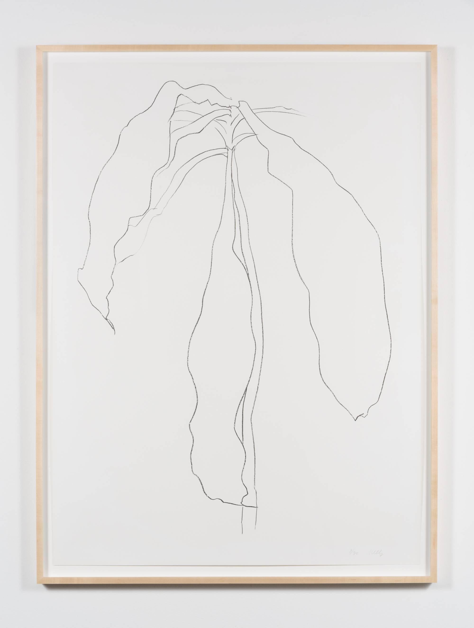 Dracena II, from Series of Plant and Flower Lithographs - Print by Ellsworth Kelly