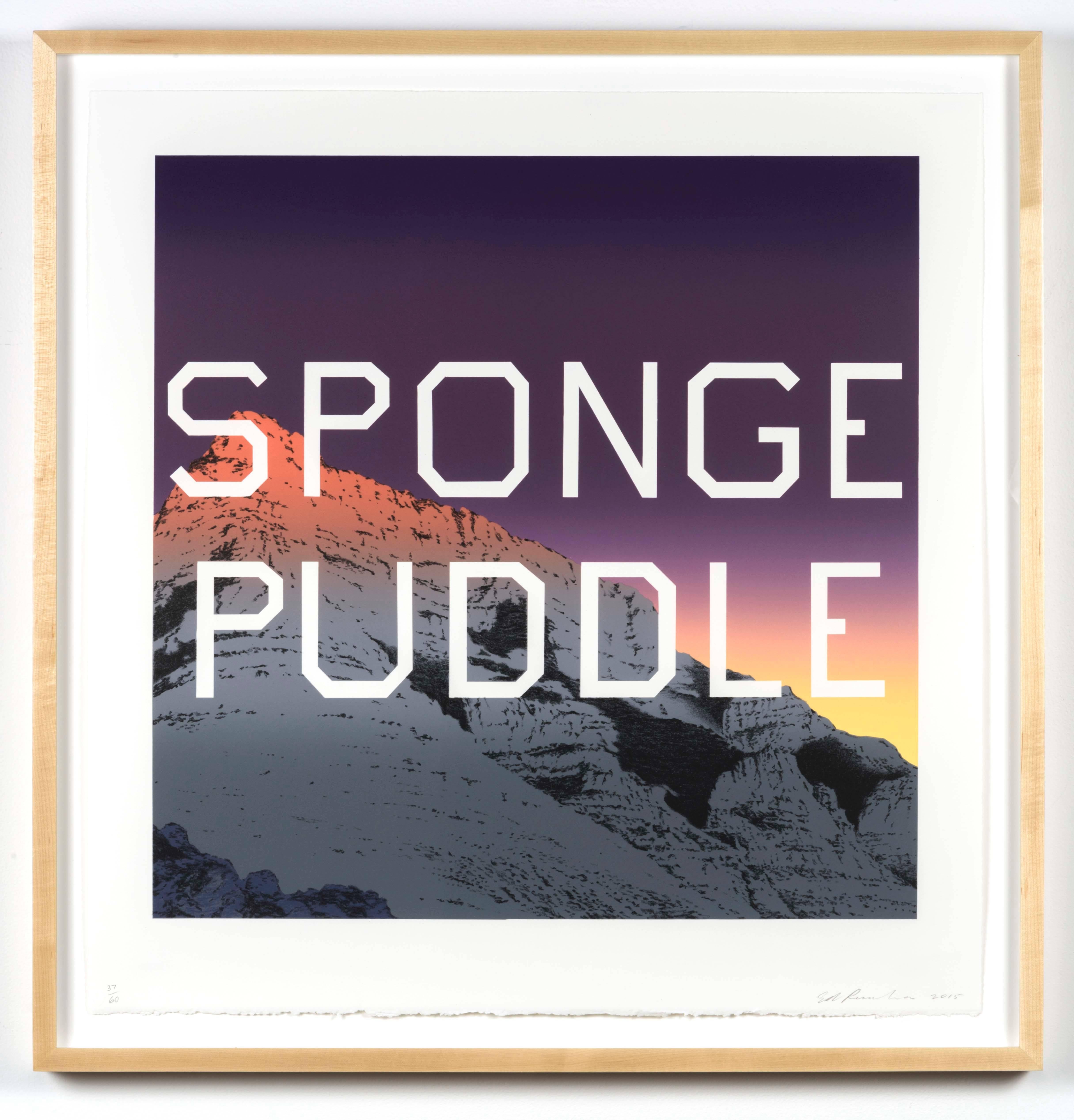 puddle sponge