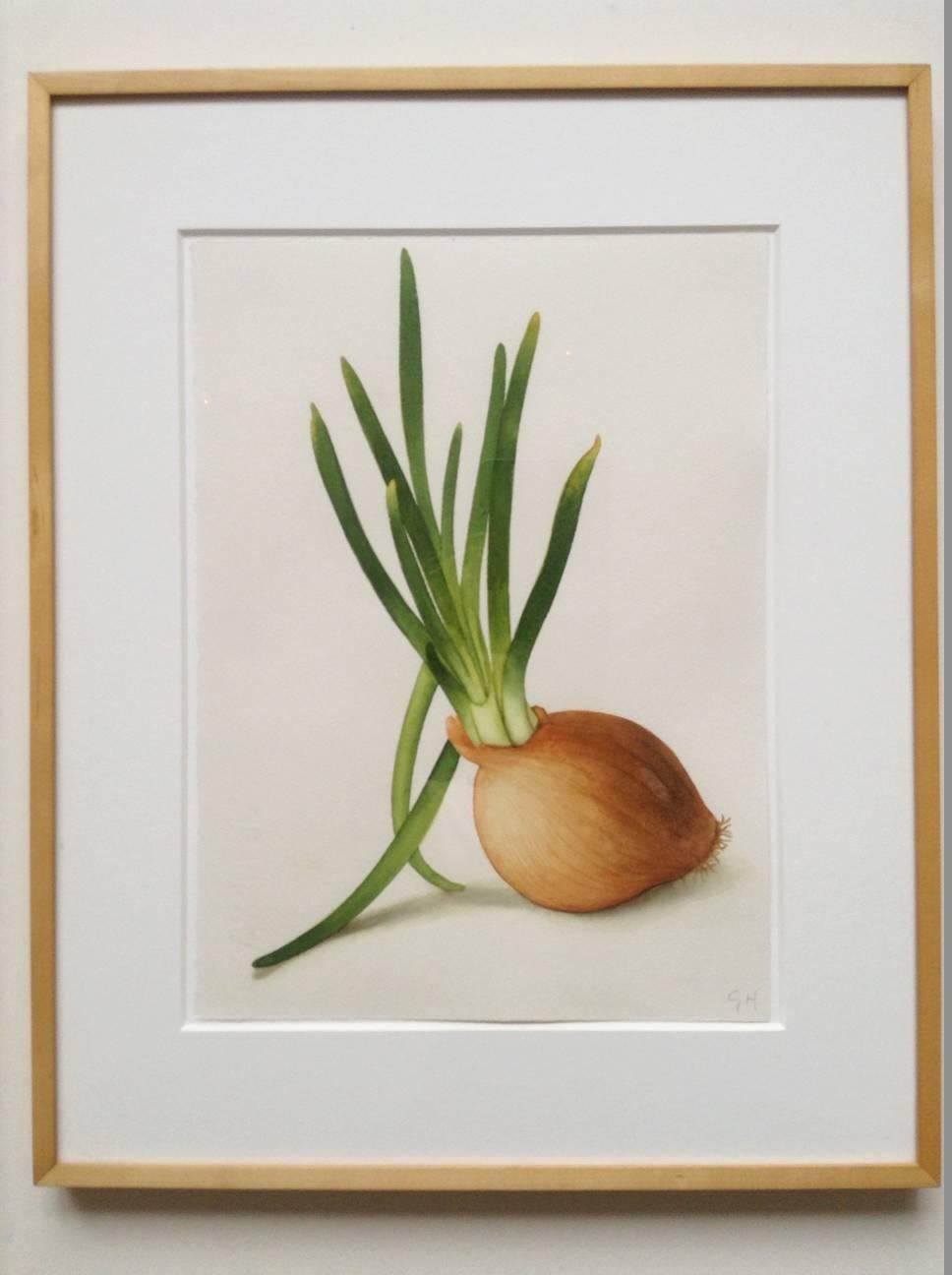 Onion - Art by Greg Hull