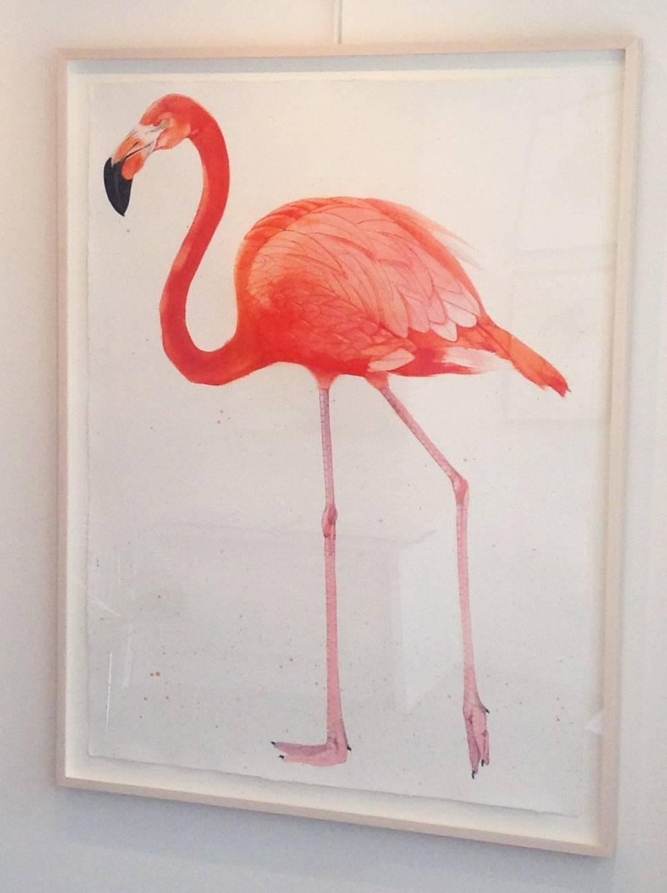 American Flamingo, facing left - Art by Scott Kelley