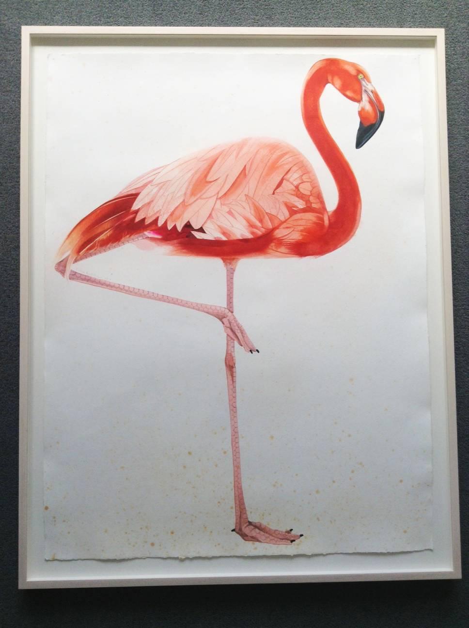 American Flamingo, facing right - Art by Scott Kelley