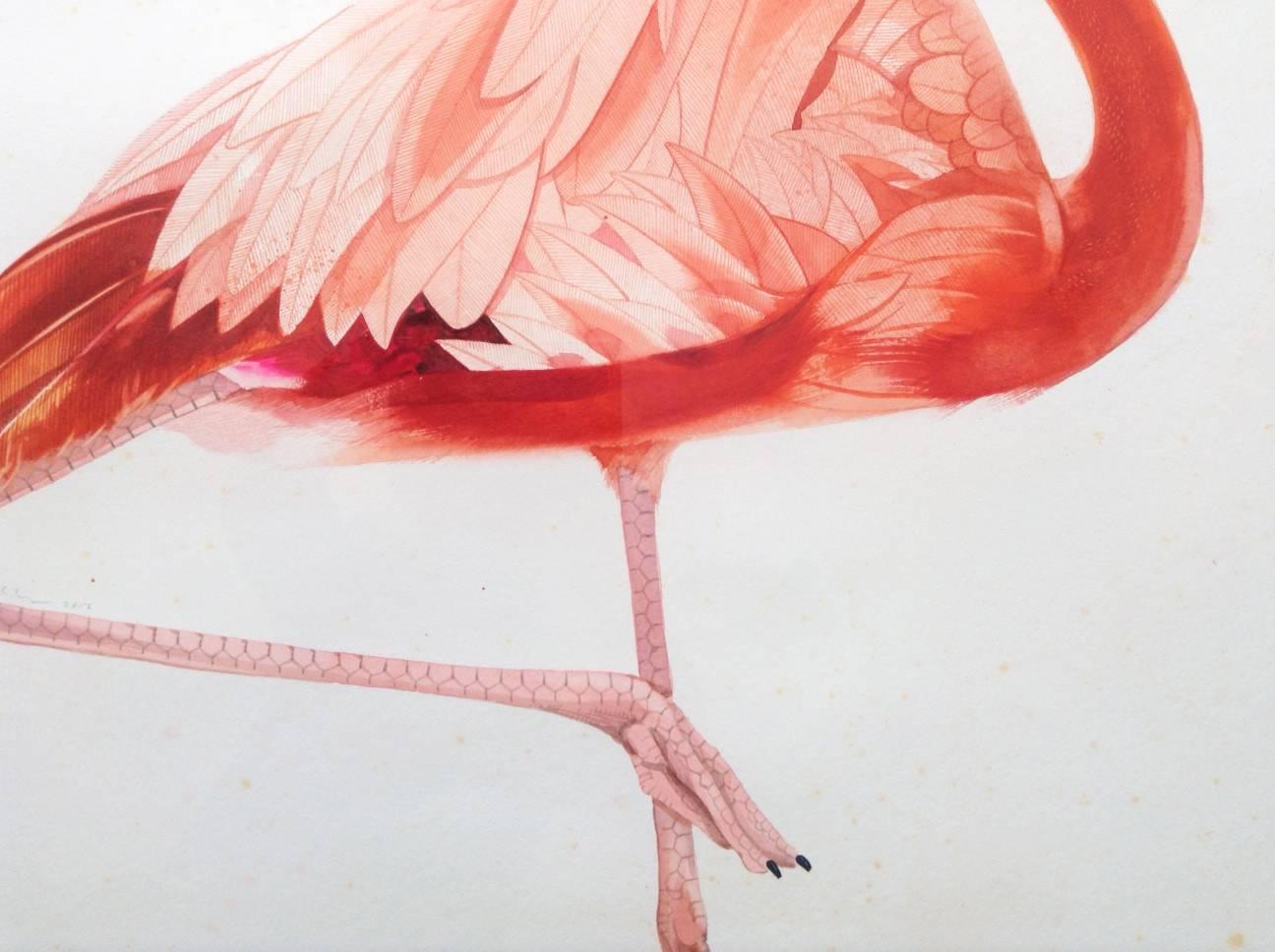 scott flamingo