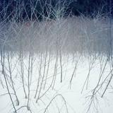 Wilderness, 34717-10-08