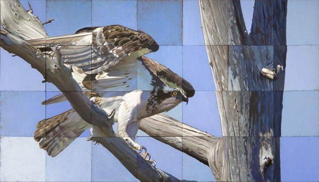 Jeff Cohen Animal Painting - Cape Fear Osprey