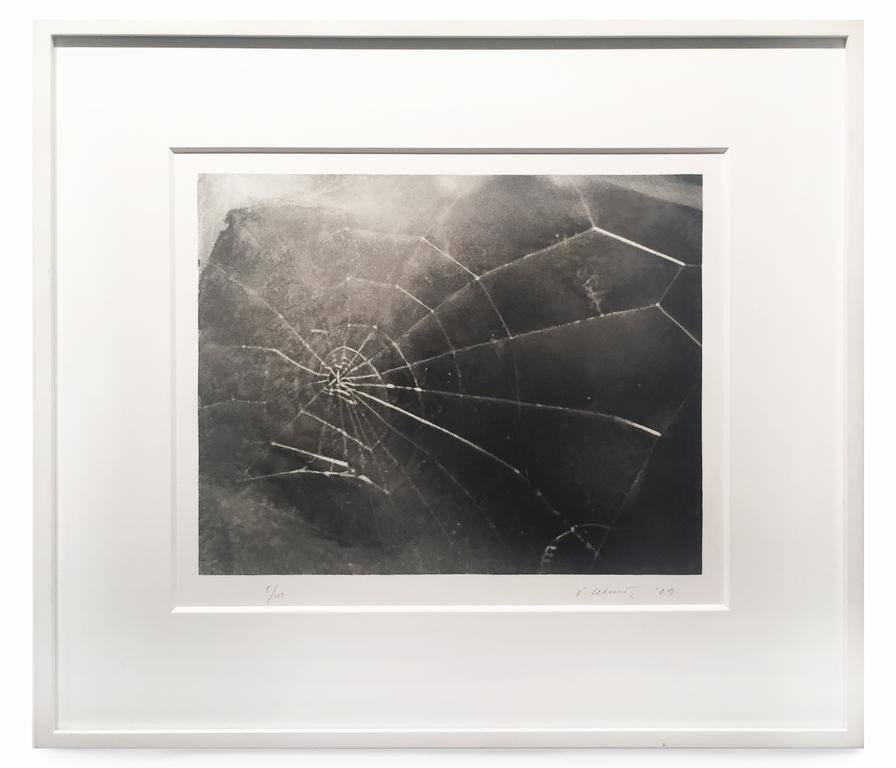 Vija Celmins Still-Life Print - Spider Web
