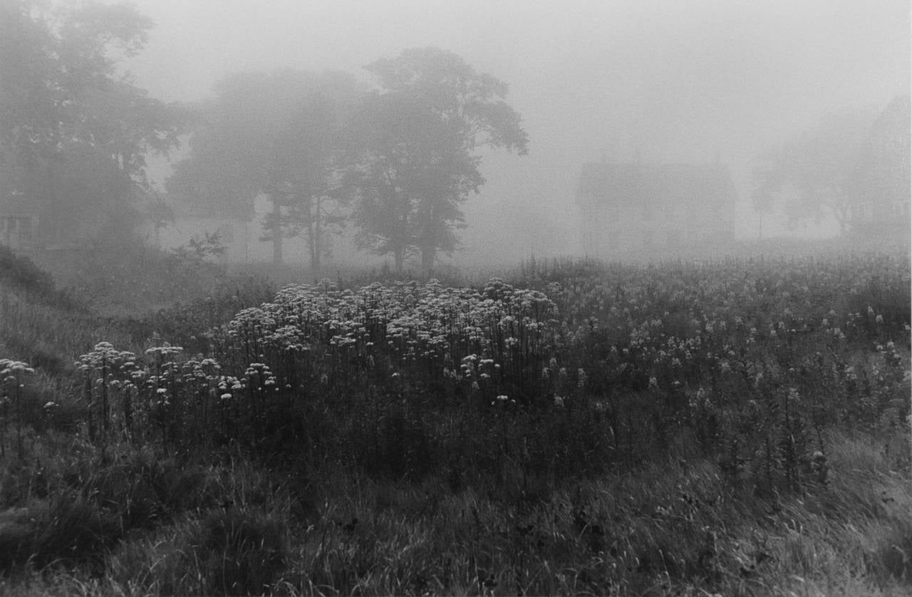 George Tice Black and White Photograph - Evening Fog, Jonesport, Maine