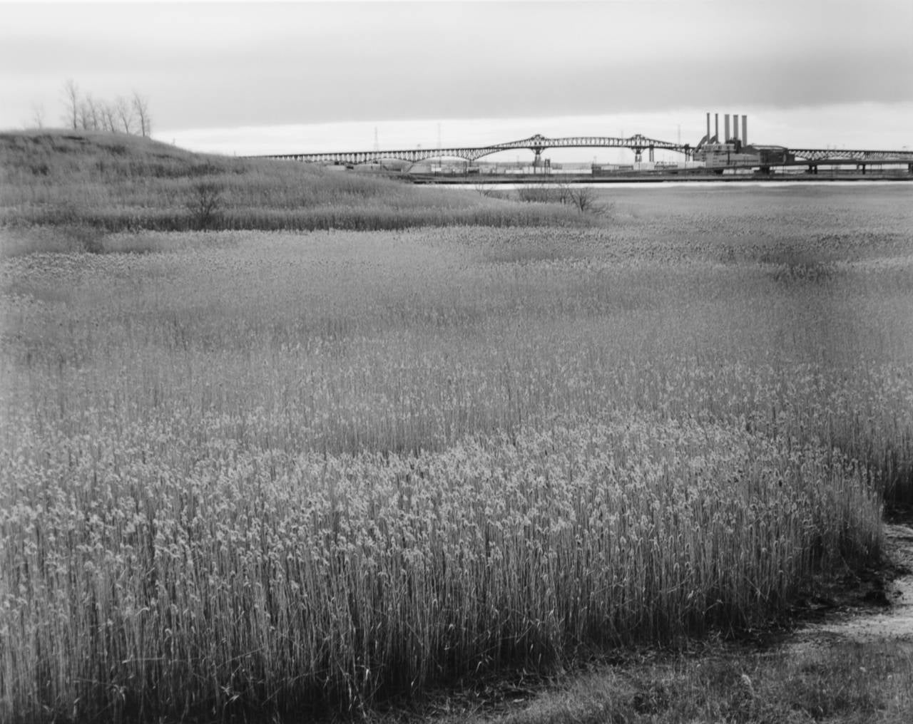 George Tice Black and White Photograph - Meadowlands, From Secacus