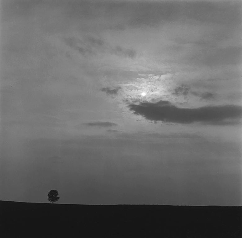 George Tice Black and White Photograph - Landscape at Sunrise, Lancaster, PA