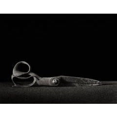 Recumbent Shears 1