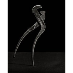 Pliers 8