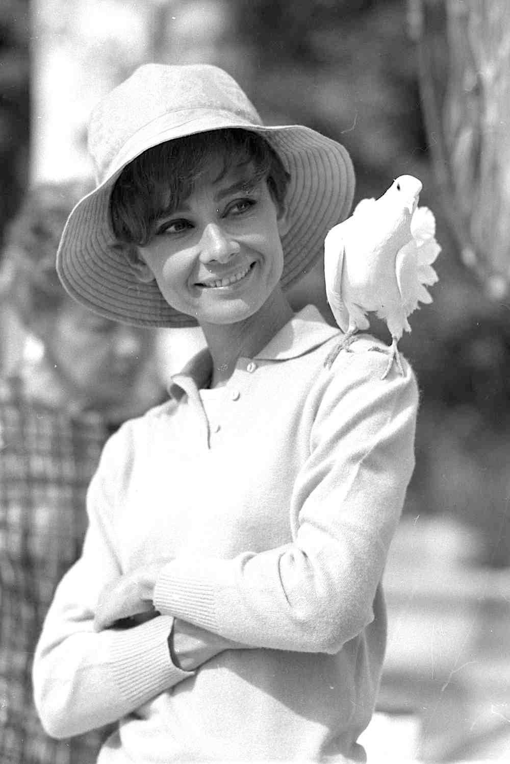 Terry O'Neill Portrait Photograph - Audrey Hepburn, Saint Tropez