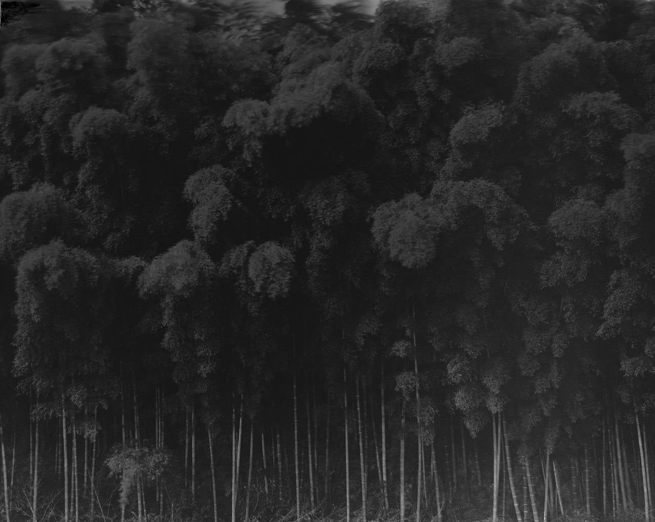 Dae Soo Kim Black and White Photograph – Mit Mondlicht