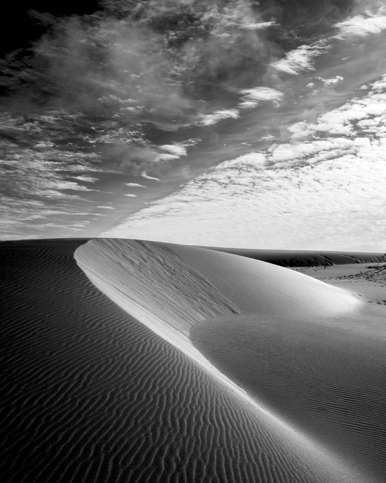 Stu Levy Landscape Photograph - Vertical Dune, Oregon #583
