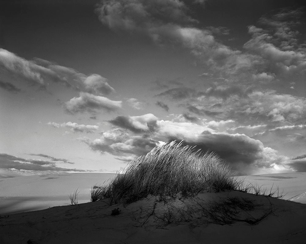Stu Levy Black and White Photograph - Eel Creek Dunes IV, Oregon