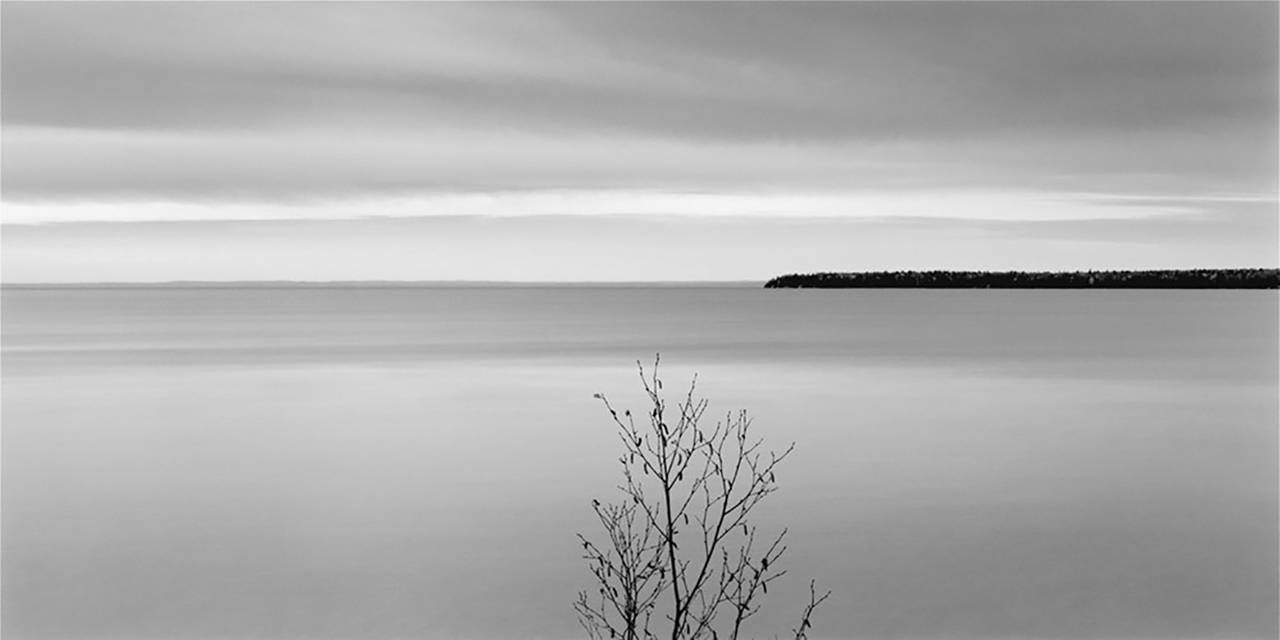 Brian Kosoff Black and White Photograph - Tree, Lake Superior