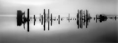 Pier Pilings in Still Water