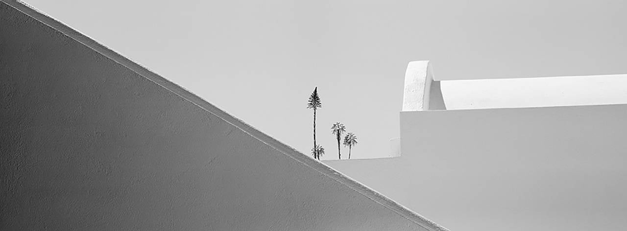 Brian Kosoff Black and White Photograph - Four Flowers