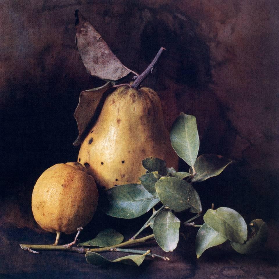 Cy DeCosse Color Photograph - Autumn Quince and Lemon