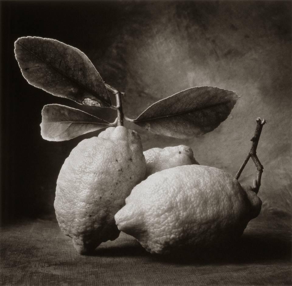 Cy DeCosse Black and White Photograph - Tuscan Lemons